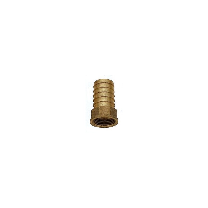 Portagomma Femmina 1 1/4''-40mm Portagomma Femmina 1 1/4''-40mm