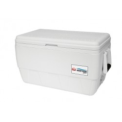 Ghiacciaia portatile Igloo...