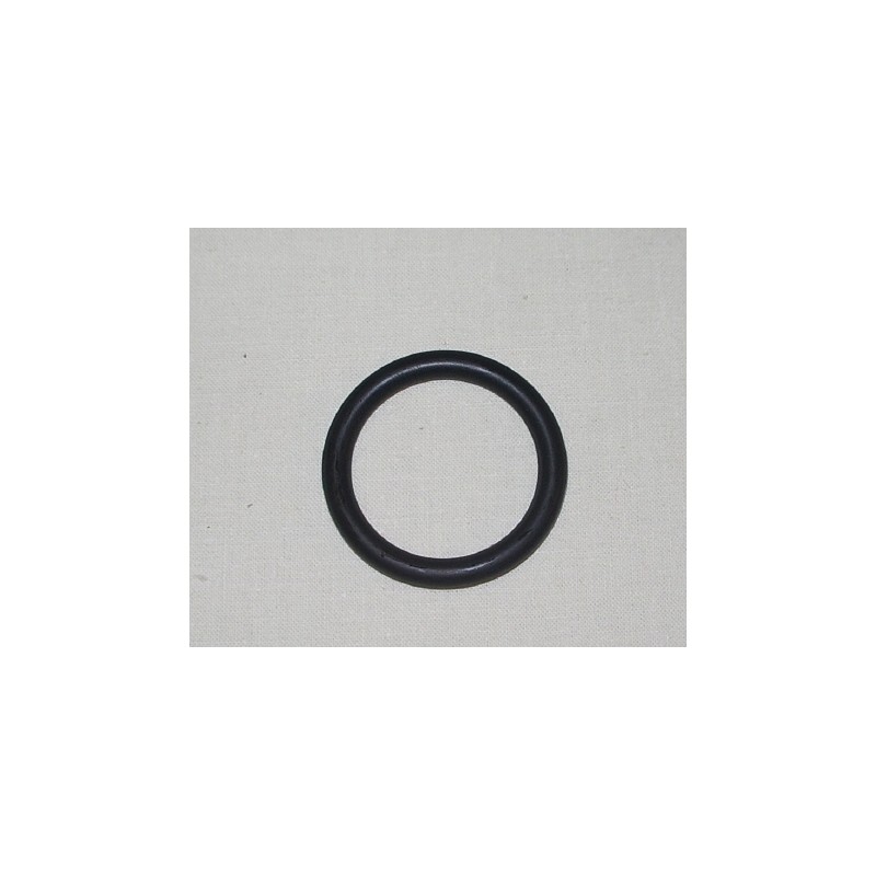 Jabsco  O-Ring pistone