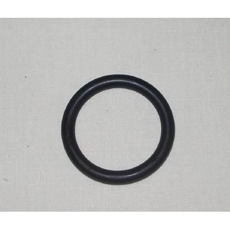 Jabsco  O-Ring pistone