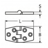 Cerniera inox microf. 38x100mm